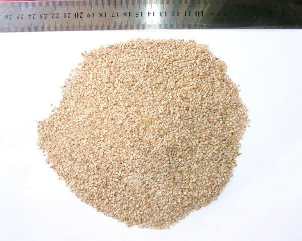 White Sesame