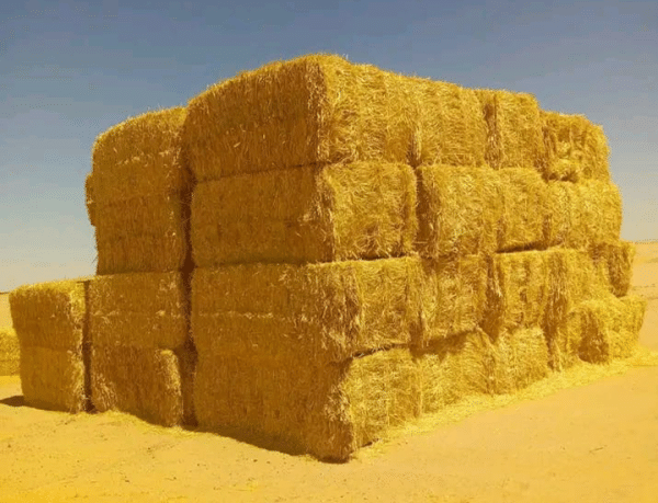 Wheat straw