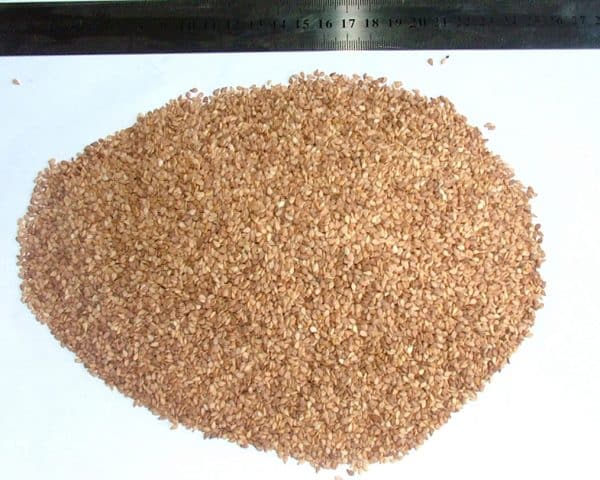 Golden Sesame